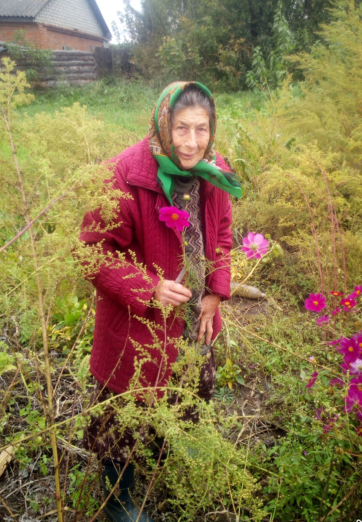 Pasted image 20260404004938.png